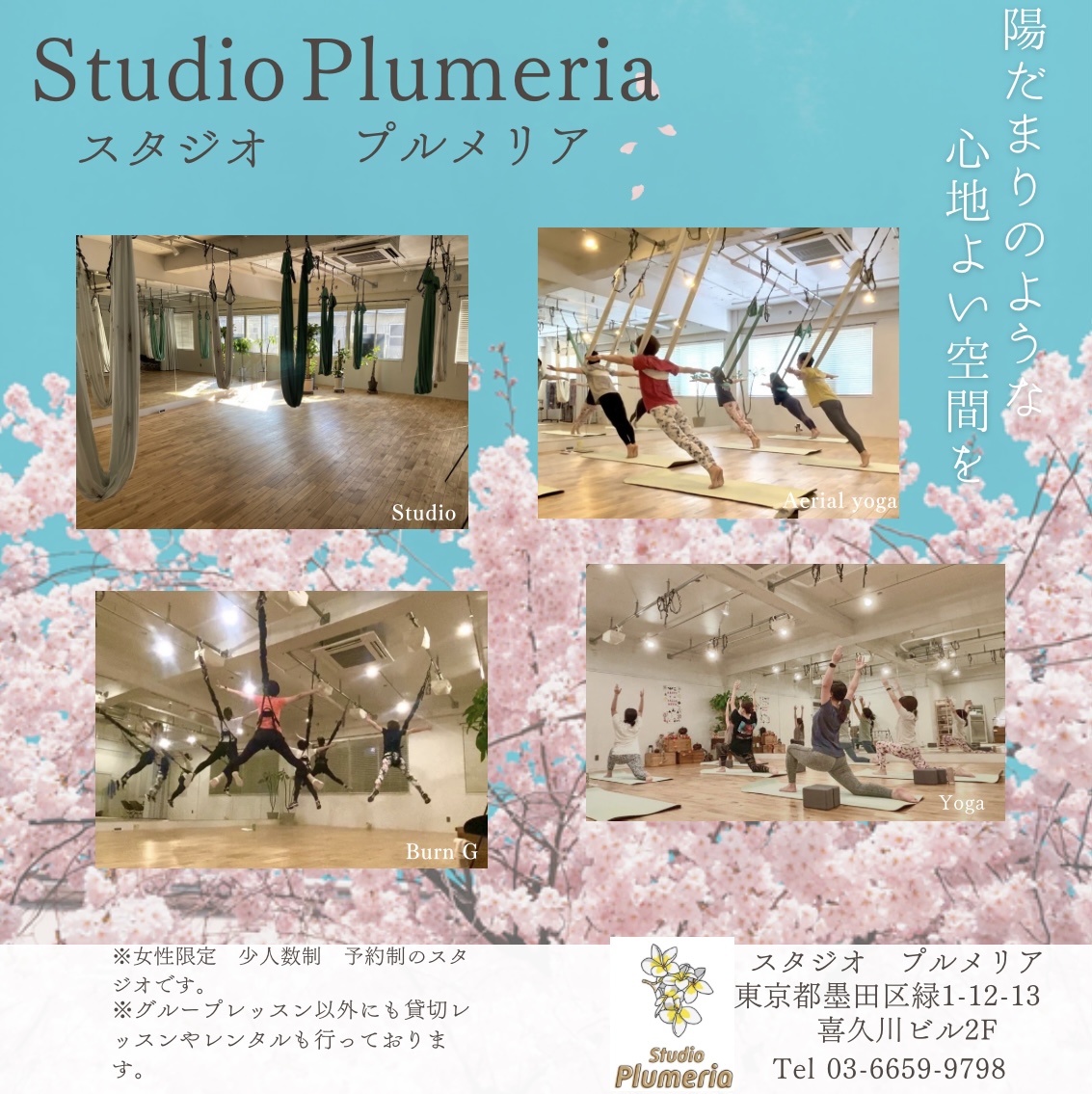 2025年5月スタジオプルメリア🌸