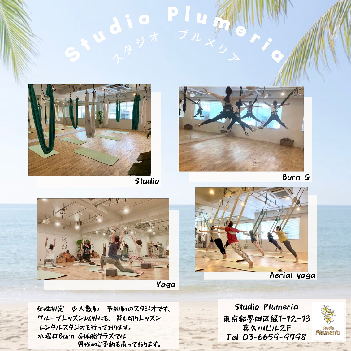スタジオプルメリア2025年8月スタート🌴