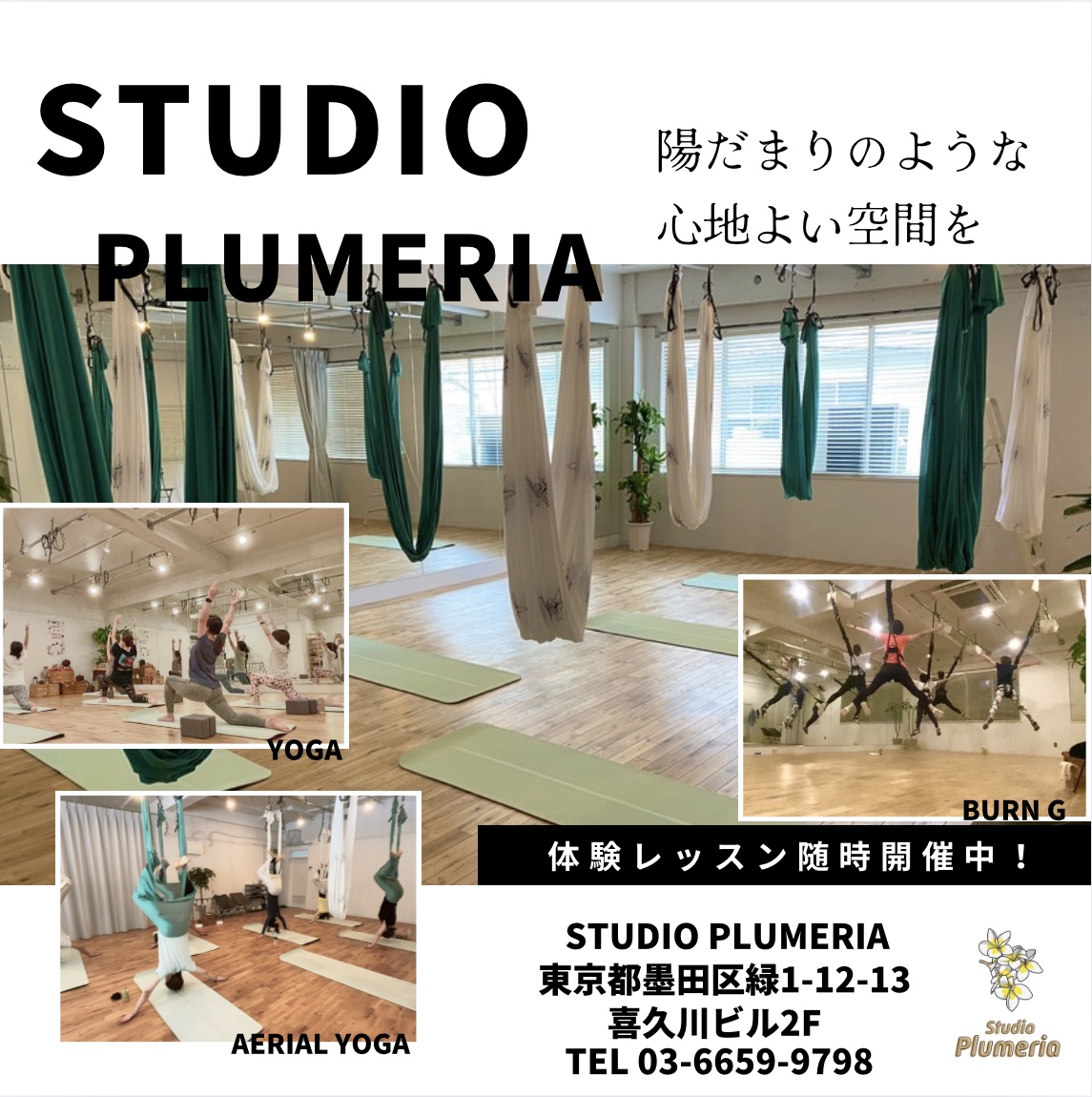 2025年9月スタジオプルメリア🌸