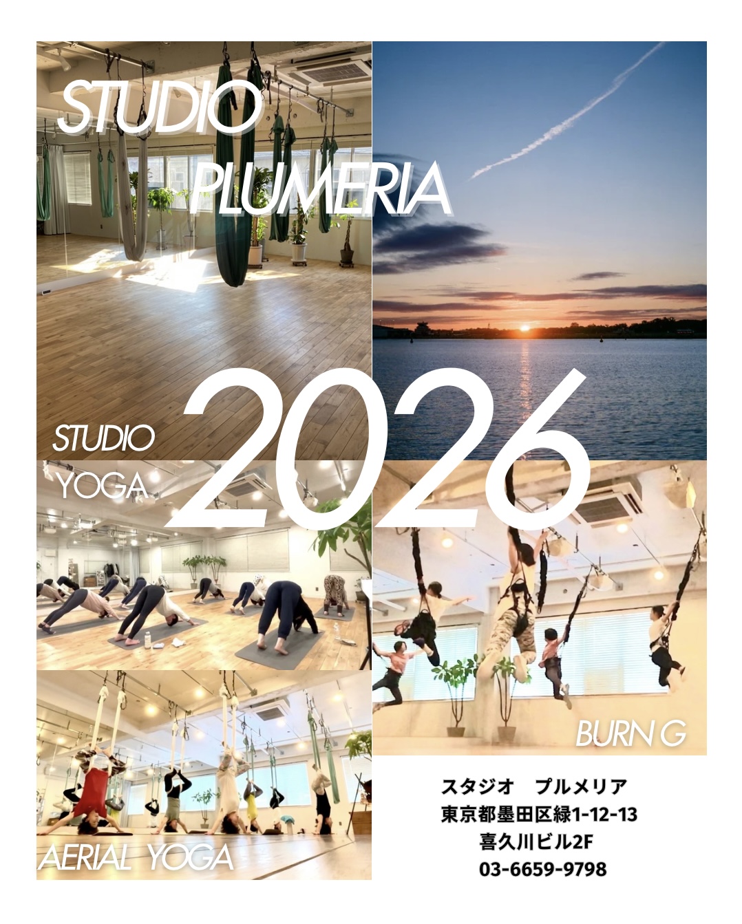 2026年1月　スタジオプルメリア🎍