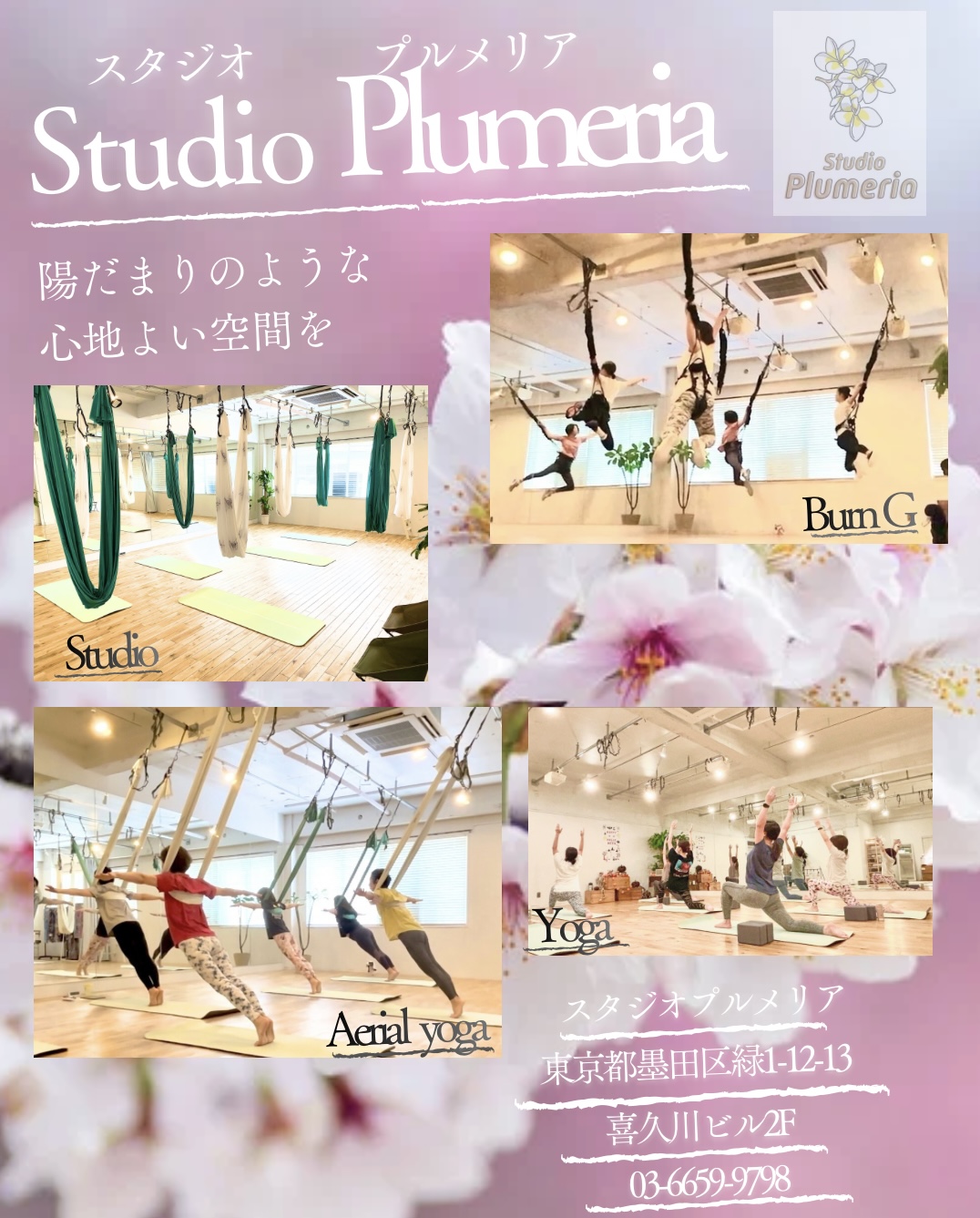 ヨガスタジオ　スタジオプルメリア2026年3月🌸