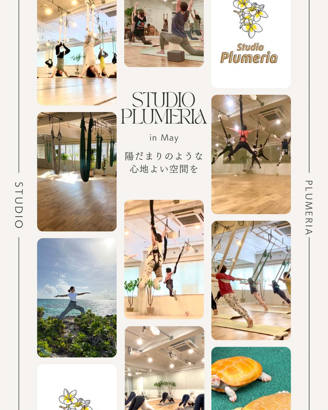 2026年5月スタジオプルメリア🎏